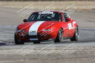 media/Oct-21-2023-Speed Ventures (Sat) [[ddf75163c5]]/Green/Grapvine/